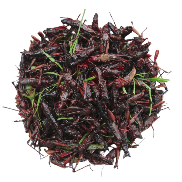 Châu Chấu Rang Lá Chanh 40g