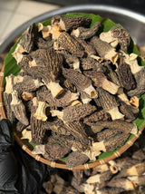 Nấm Bụng Dê Cao Cấp Túi 100g
