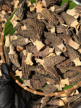 Nấm Bụng Dê Cao Cấp Túi 100g