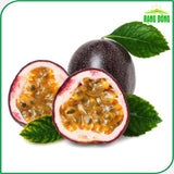 Hạt giống Chanh Dây Rado 638 (0,2g~12 hạt)