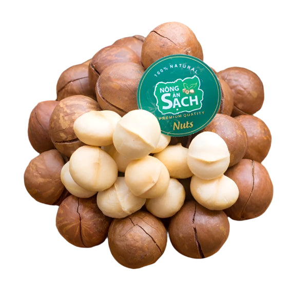 500g Hạt Macca Organic Sạch Di Linh Lâm Đồng nhà trồng size A (hạt mắc ca)