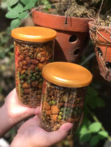 Hạt Mix Sấy Tỏi Ớt