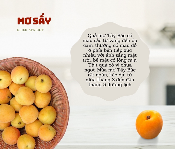 Mơ Sấy Dẻo Tách Nước Hộp 120g