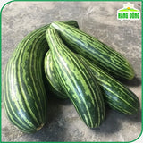 Hạt giống Dưa Gang Rado 779 (1g~50 hạt)