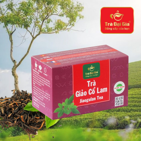Trà Giảo cổ Lam Túi Lọc Hộp 20 Túi