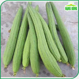 Hạt giống Mướp Hương Rossa 38 (1g~10 hạt)