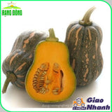 Hạt giống Bí Đỏ Hạt Đậu Lai F1 Rado 35 (1g~8-10 hạt)
