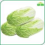 Hạt giống Cải Thảo Rambo (0,5g~120 hạt)