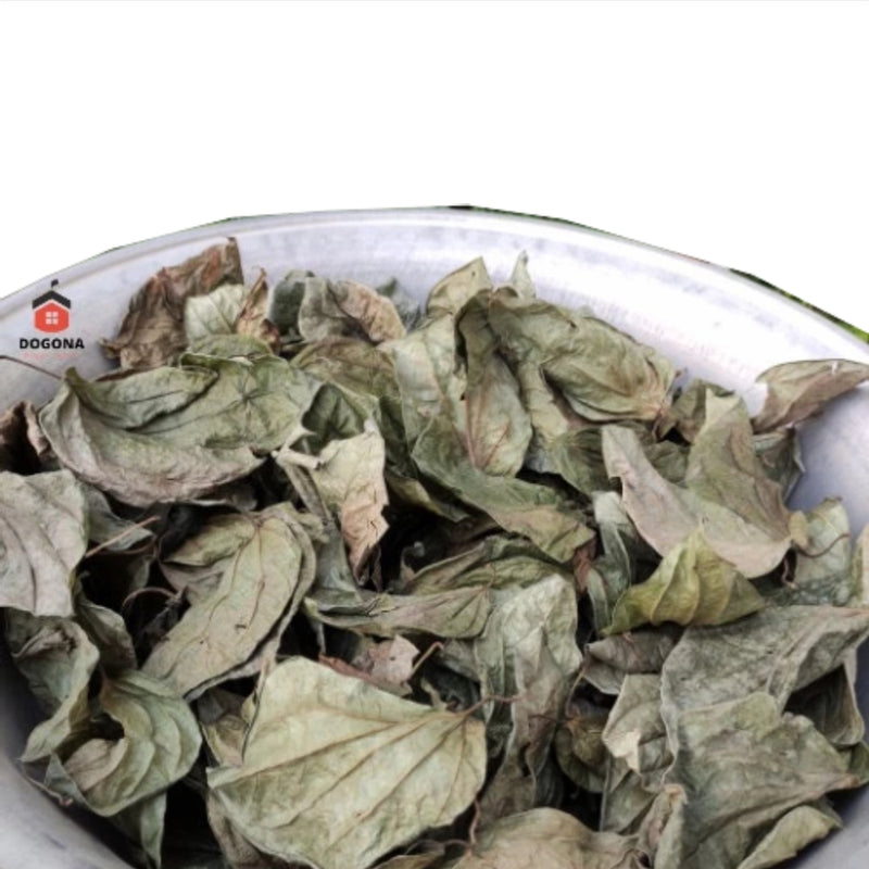 NGƯỜI LỚN TUỔI XOA RƯỢU LÁ TRẦU KHÔNG LÊN KHỚP
