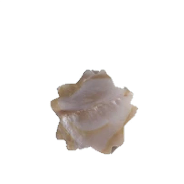 Gác Đũa Trai Hình Hoa- Con Cá 4cm