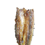 Khô Cá Nhồng Ướp Tẩm Tiêu Đường 500g