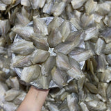 Khô Cá Sặc Bướm (Sặc Đồng) 500g