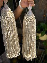 Hạt Sen Sấy Thượng Hạng, Sen Huế Loại Ngon Nhất 450g