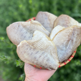 Khô Cá Chim 3 Nắng 500g