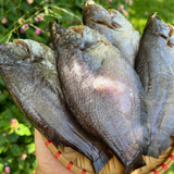 Khô Sặc Bổi Cà Mau 500g