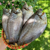Khô Sặc Bổi Cà Mau 500g