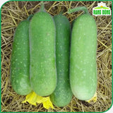 Hạt giống Bí Đao Chanh Lai F1 Rado 1331 (0,2g~10 hạt)