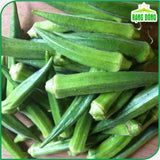 Hạt giống Đậu Bắp Xanh Lai F1 Rado 323 (5g~100 hạt)