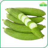 Hạt giống Mướp Hương Rossa 38 (1g~10 hạt)