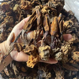 Nấm Ngọc Cẩu Khô 1kg