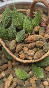 Khổ Qua Rừng Sấy Nguyên Trái 1kg