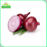 Hạt giống Hành Tây Đỏ Salad Red 027 (2g~300 hạt)