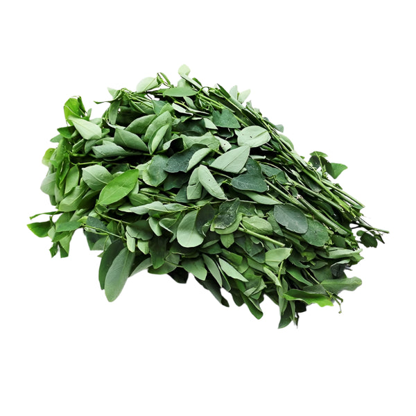 Hạt giống Rau Ngót Rado 621 (1g~40 hạt)