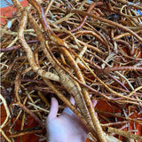 Rễ Sâm Hoàng Kỳ Nam Khô 1kg