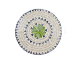 Đĩa khảm trai decor chụp ảnh, đựng đồ ăn, trang sức tinh tế