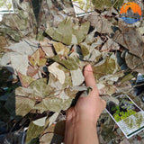 Lá Dâm Đương Hoắc Khô Rừng Tây Bắc 500g