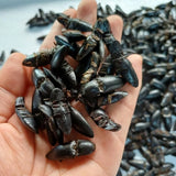 Bổ Củi Rừng Khô Tây Bắc - 50 Con