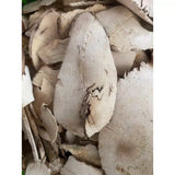 Củ Sâm Béo Trắng Tây Bắc Thát Lát 1kg