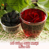 Nước Cốt Dâu Tằm Ngâm Đường Hộp 1kg