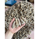 Tam Thất Bắc Củ (Loại 52 - 55 Củ /kg) - Túi 500g