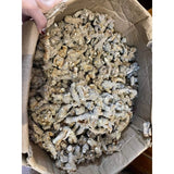 Tam Thất Bắc Củ (Loại 52 - 55 Củ /kg) - Túi 500g
