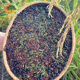 Trà Gạo Lứt Rẫy Hằng Thuận Tây Nguyên, Mát Lợi Sữa, Thanh nhiệt 500g