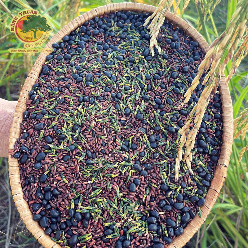 Trà Gạo Lứt Rẫy Hằng Thuận Tây Nguyên, Mát Lợi Sữa, Thanh nhiệt 500g