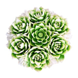 Khuôn silicon hoa sen đá đại 11,5cm