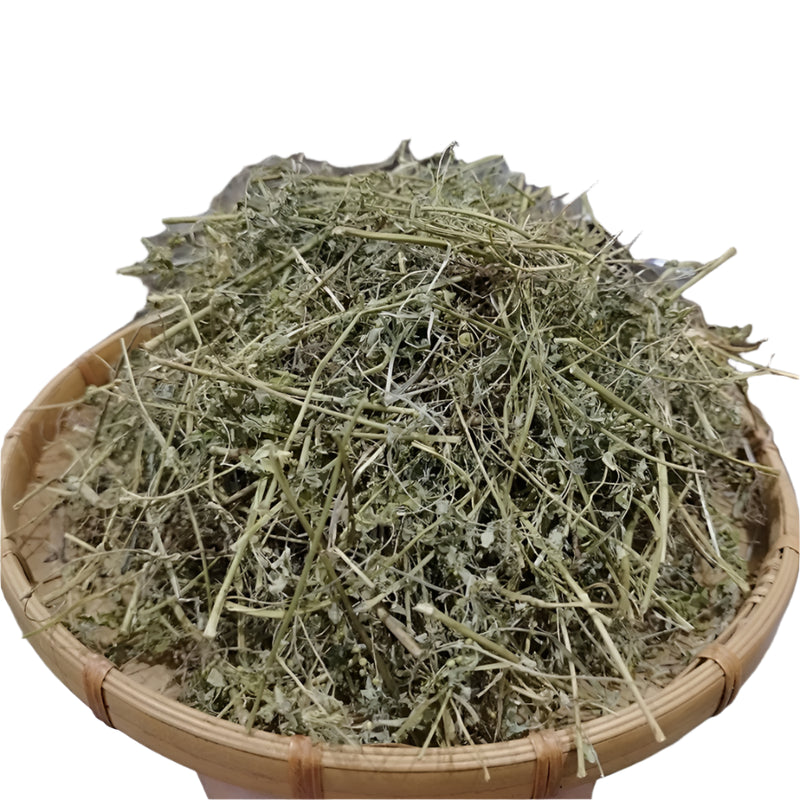 Diệp hạ châu (cây chó đẻ răng cưa) 500g