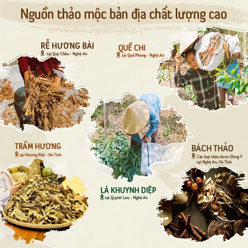 Nhang nụ khói ngược AN AN 39 nụ