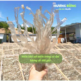 Miến Dong Sợi To Thái Tay Điện Biên 1kg