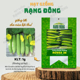 Hạt giống Mướp Hương Rossa 38 (1g~10 hạt)