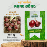 Hạt giống Hành Tây Đỏ Salad Red 027 (2g~300 hạt)