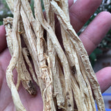 Đẳng Sâm Tây Bắc 500g