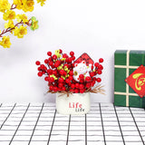 Chậu Đào Đông Trang Trí TẾT A21 Decor Kim Vinh May Mắn Tài Lộc