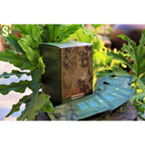 Muối Thảo Dược Ngâm Chân Hộp 10 gói (500gr)