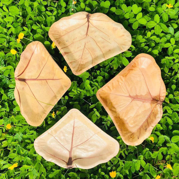 COMBO 10 DĨA LÀM TỪ LÁ CÂY TỰ NHIÊN - SẢN PHẨM THAY THẾ ĐĨA NHỰA MỘT LẦN