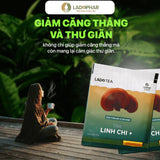 Trà Túi Lọc Linh Chi  Ladophar - 20 Túi