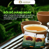 Trà Túi Lọc Linh Chi  Ladophar - 20 Túi