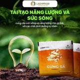 Trà Túi Lọc Gừng Sả Ladophar - 20 Túi